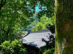 -灵隐飞来峰景区