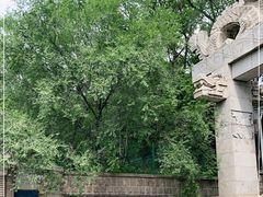 -北京十三陵国家森林公园蟒山景区