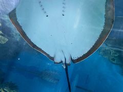 -福州罗源湾海洋世界旅游区