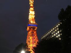 -东京塔海贼王主题公园