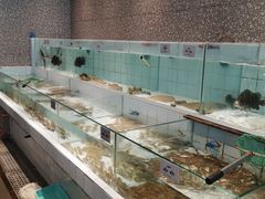 水产区-小城故事·地道宁波味(月湖盛园店)