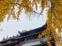 -上海东林寺(金山区)