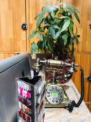 -明洞造型精品烫染