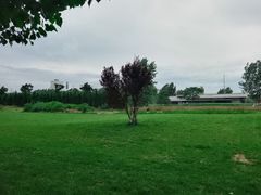 -汉长安城未央宫国家考古遗址公园