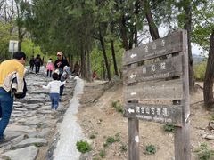 -阳台山自然风景区