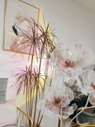 -美肤盾祛痘·问题肌头疗管理中心