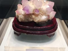 -青岛市博物馆