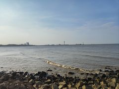 -上海滨江森林公园
