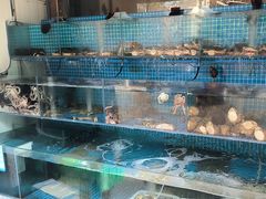 -东海章鱼馆(恒瑞街店)