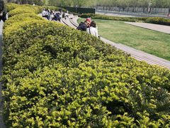 -华谊兄弟总部办公大楼