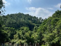 -广州白江湖森林公园