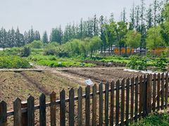 -前小桔亲子创意农场·草莓采摘·露营烧烤