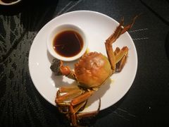-厦门艾美酒店·新食谱西餐厅