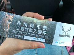 -鹿境梅花鹿生态园区