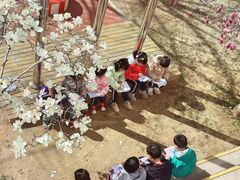 -北京师范大学实验幼儿园(牡丹园分园)