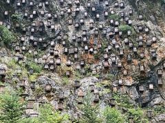 -神农架景区