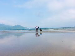 -西涌国际滨海旅游区