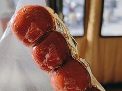 -和禄德冰糖葫芦