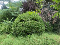 -大连植物园