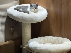 -IFIF 如果花園(宽厚里店)
