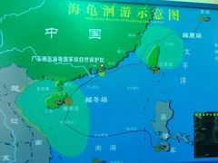 -广东惠东海龟国家级自然保护区