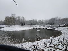 -大兴滨河森林公园