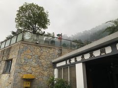-老幺泉水鸡