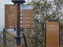 -小连城
