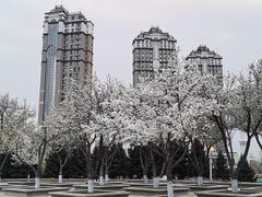 -哈尔滨音乐公园
