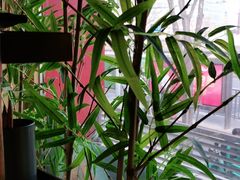 -牛村来人潮汕牛肉火锅(西单店)