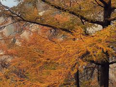 -崂山巨峰游览区