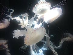 -成都浩海立方海洋公园