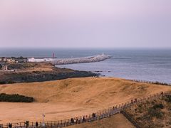 -涉地可支