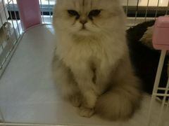 -Oh My Dog宠物沙龙(伊珊娜皮毛护理店)