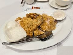 -食为先(Shark Fin)