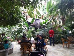 iphone_upload_pic-绿色时代大酒店