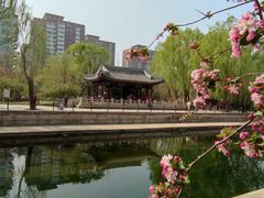 -元大都城垣遗址公园