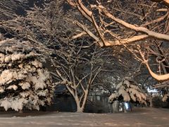 -北海道厅旧本厅舍(旧本庁舎)