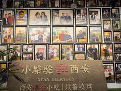 -福苗小骆驼烧烤(莲湖路店)