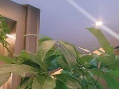 -鹿栖.精油SPA(金山世纪城店)
