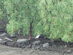 -深圳湾公园(南山区)