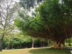 -南宁南湖公园
