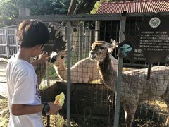-意大利农场度假村
