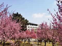 -东南大学(四牌楼校区)