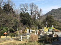 -杭州少年儿童公园