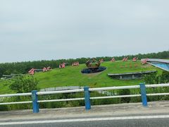 -合肥滨湖国家森林公园