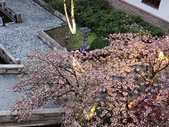 -苏州吴宫泛太平洋酒店