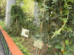 -广州神农草堂中医药博物馆