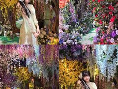 -正佳雨林生态植物园