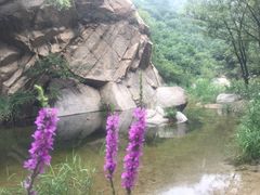 -碓臼峪自然风景区